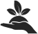 /icon1.png